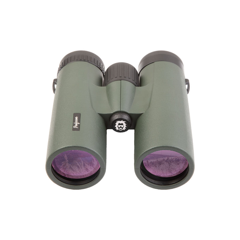 Professor Optiken Fichtelberg 8x42 grün V2.0 – Fernglas NEU